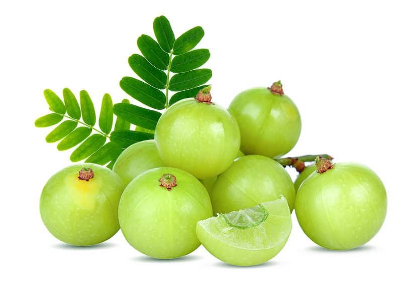 english name of amla