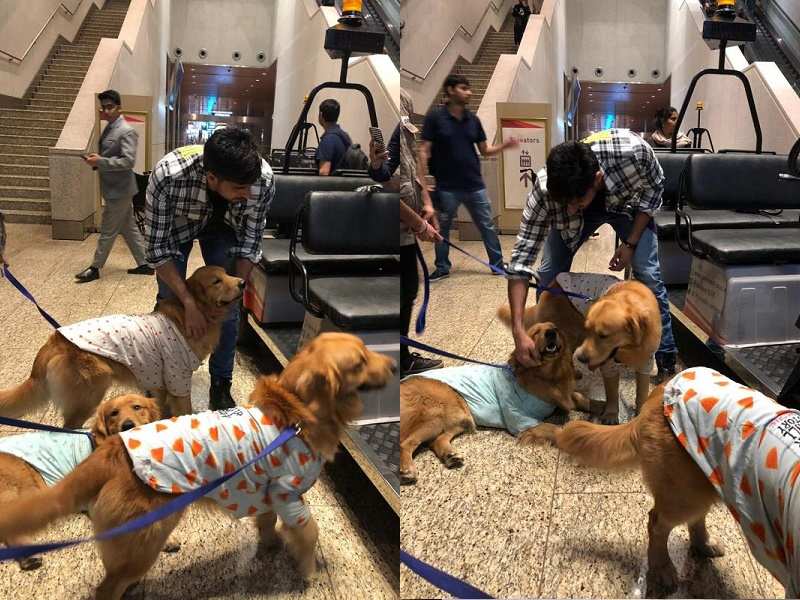 Sidharth Malhotra playing with therapy dogs at the airport will melt your hearts