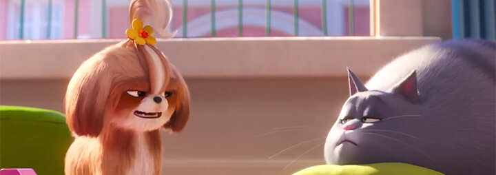 The-Secret-Life-Of-Pets-2---B