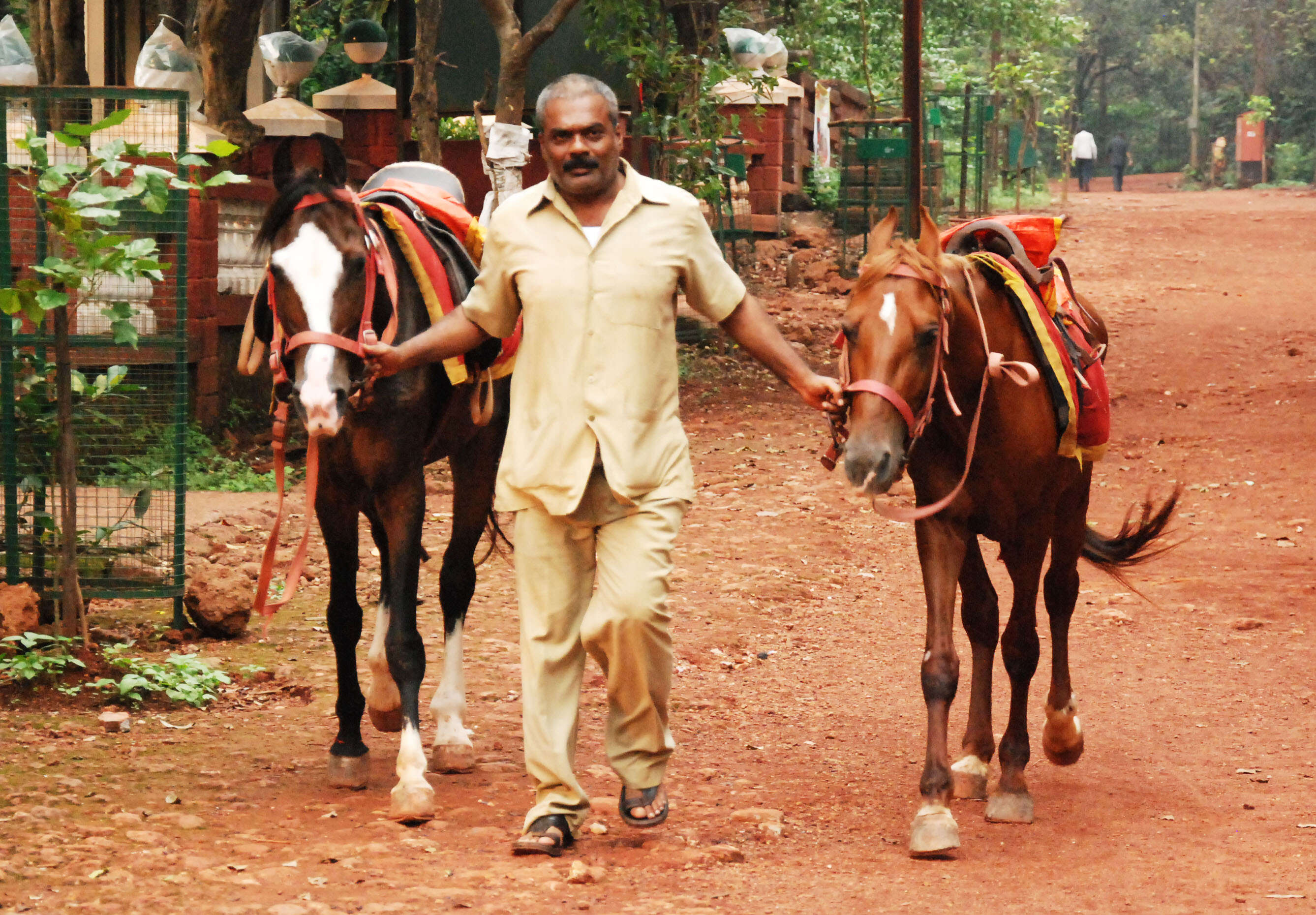 Ravi Kale turns horserider for tourists in his next film Marathi
