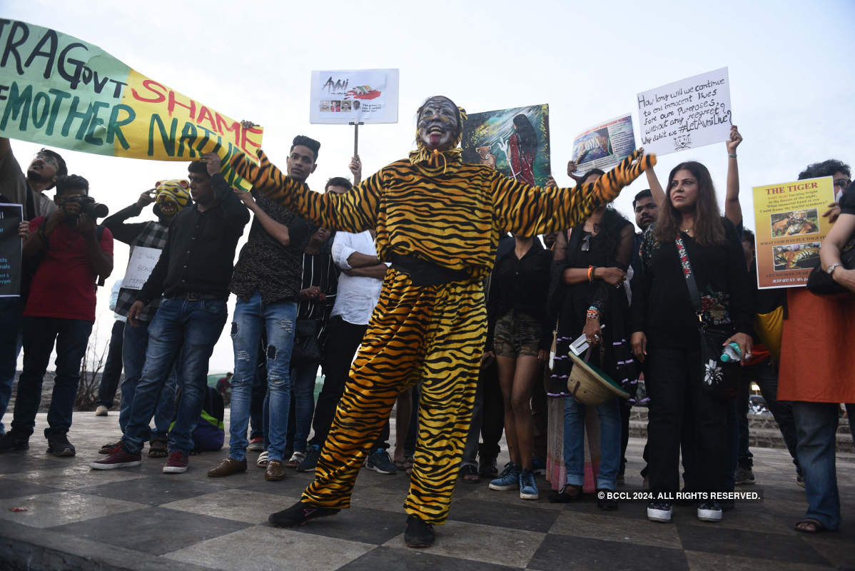 Animal activists protest against killing of Tigress Avni