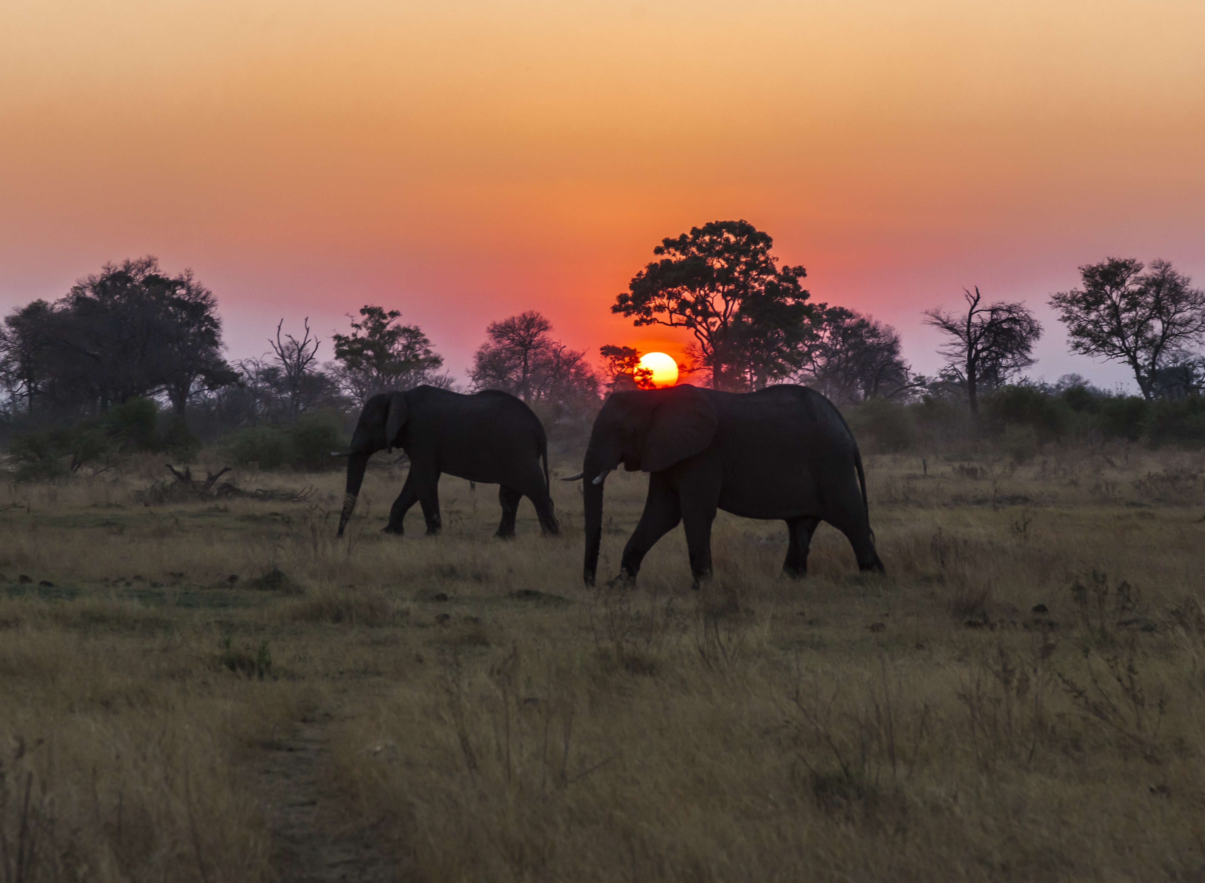 Did you know that you can go night trekking in Kerala’s Periyar Tiger ...