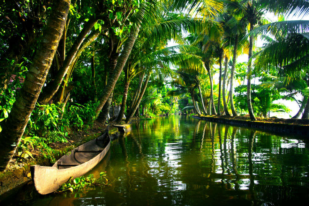 kerala tourism december