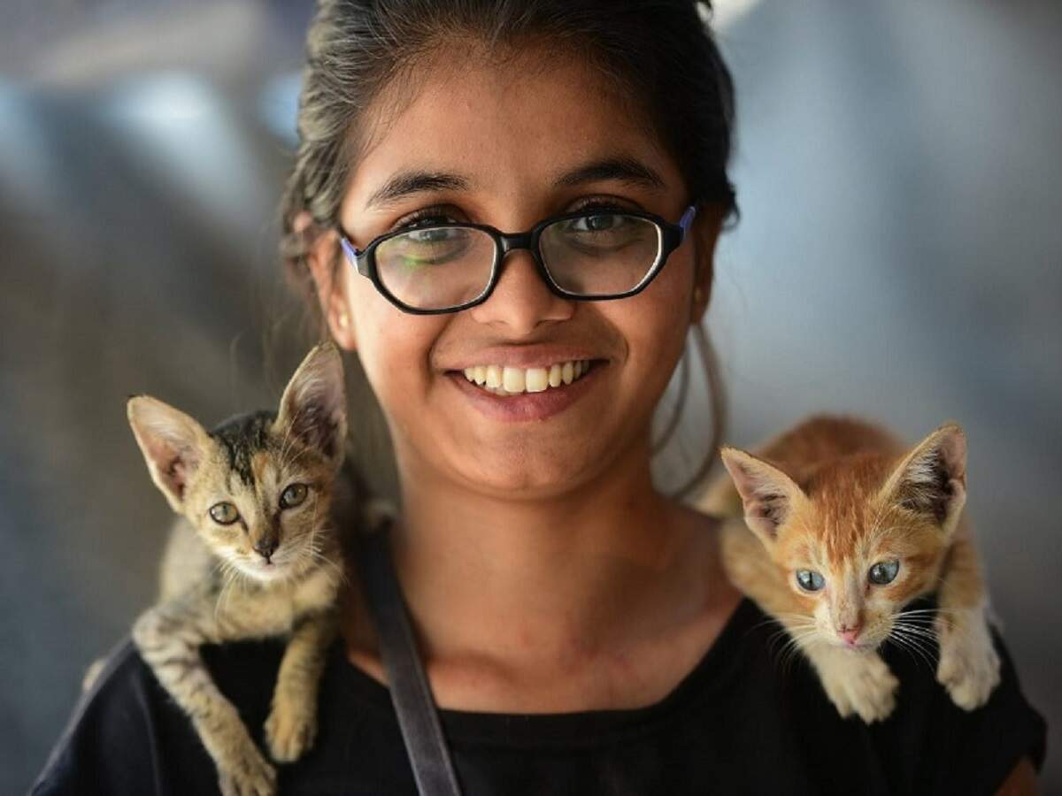 Kittens Find Their Saviour The Western Weekender