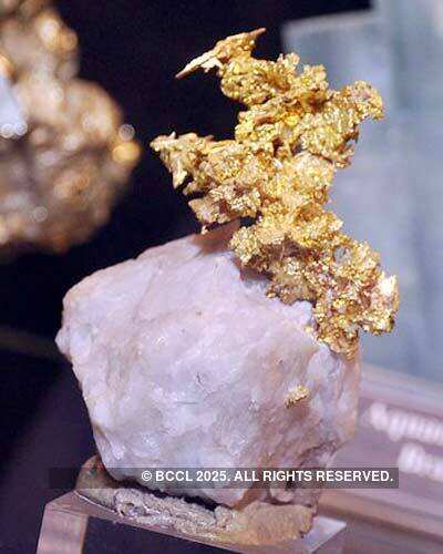 Inauguration: National Handicraft Gallery