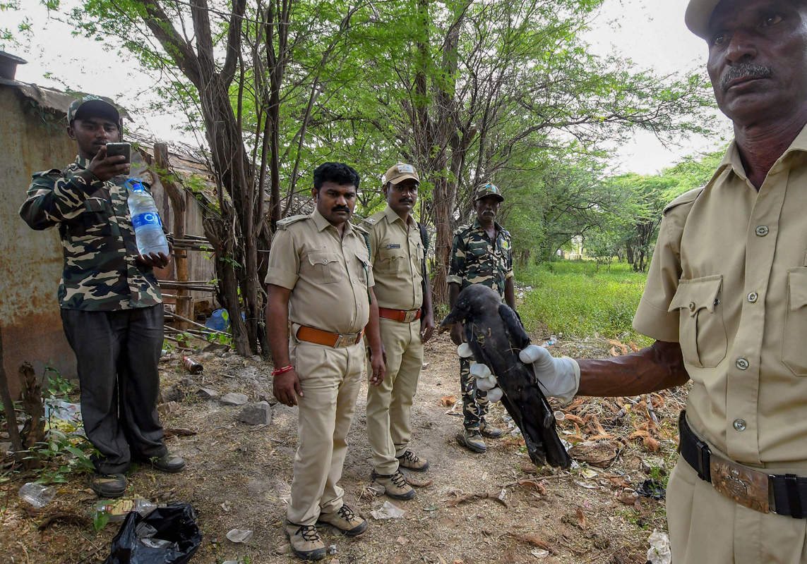 Tragic pictures of Karnataka temple tragedy: Death toll goes up to 15