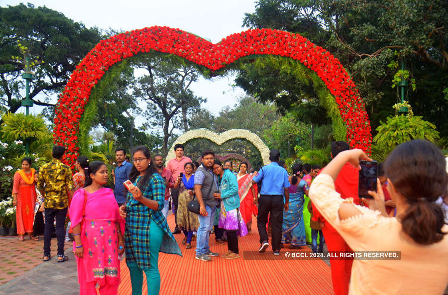 Andhra Pradesh: Visakha Utsav enthrals visitors