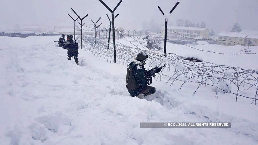 Tourists enjoy fresh snowfall in Kashmir