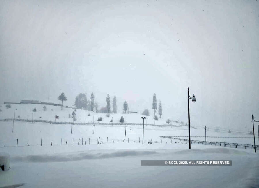 Tourists enjoy fresh snowfall in Kashmir