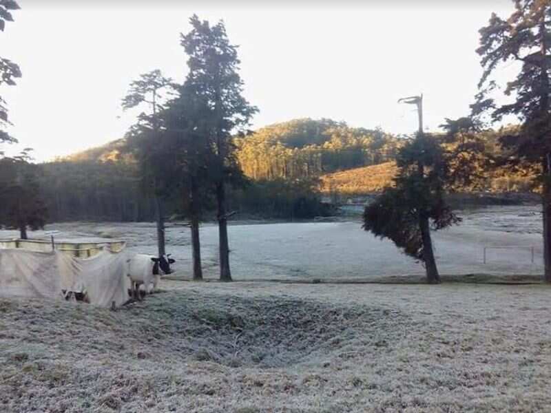 Photos Munnar temperatures dip below zero, frost turns grasslands into