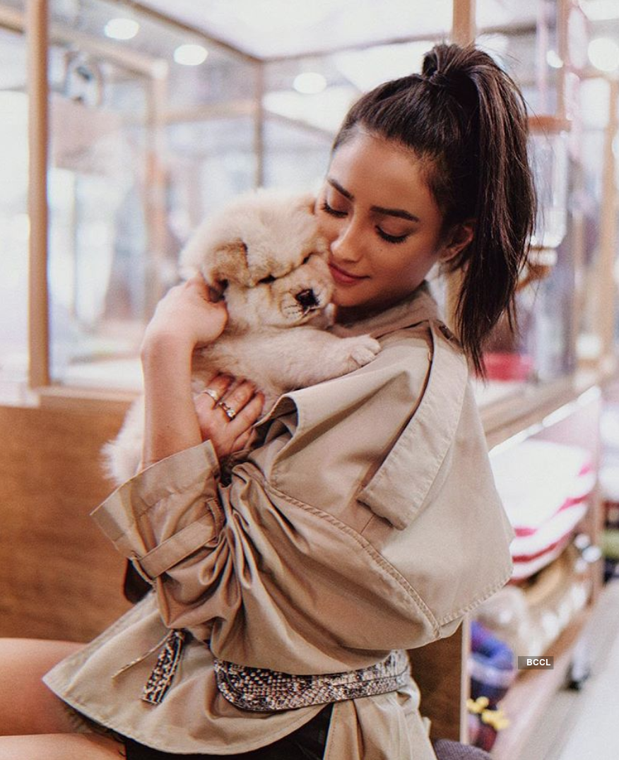 Bold and beautiful pictures of fashionista Shay Mitchell