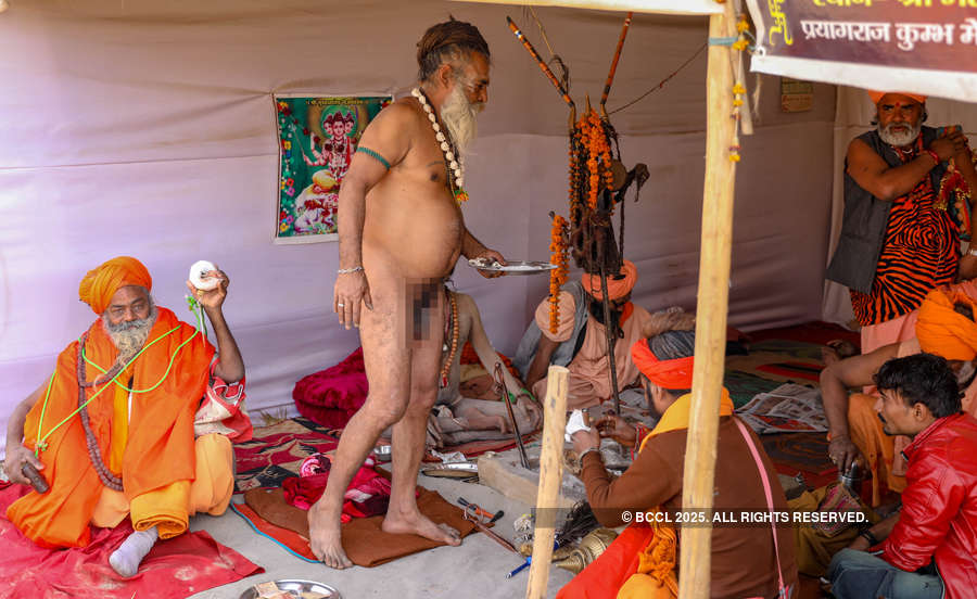 Kumbh Mela: Pictures of Naga Sadhus grab all attention