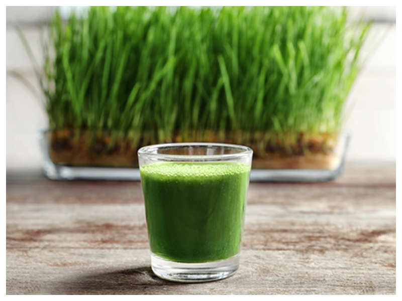 Wheatgrass Juice Health Benefits Why