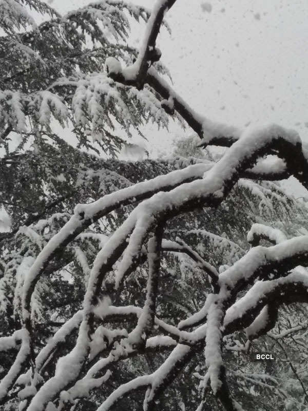 Shimla gets heaviest snowfall of the season