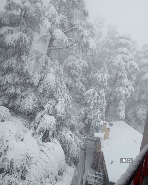 Shimla gets heaviest snowfall of the season