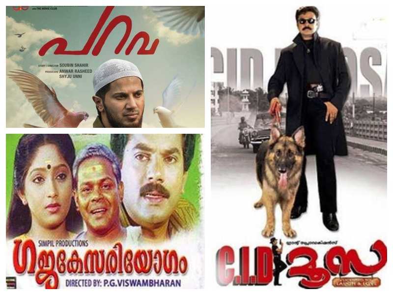 Malayalam films which had animals as pivotal characters | The Times of India