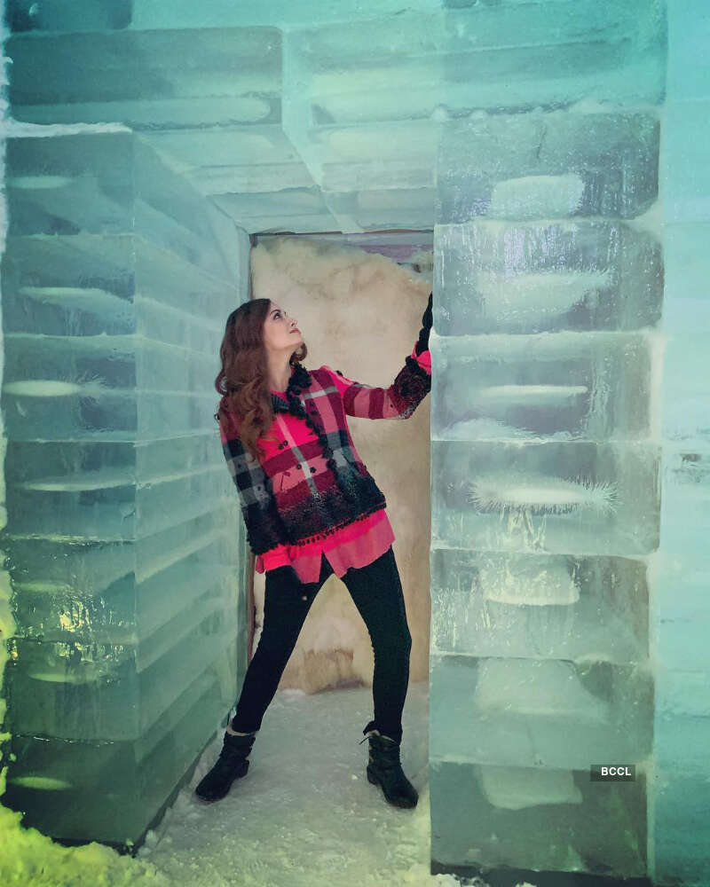 Dia Mirza and Sahil Sangha&rsquo;s pictures