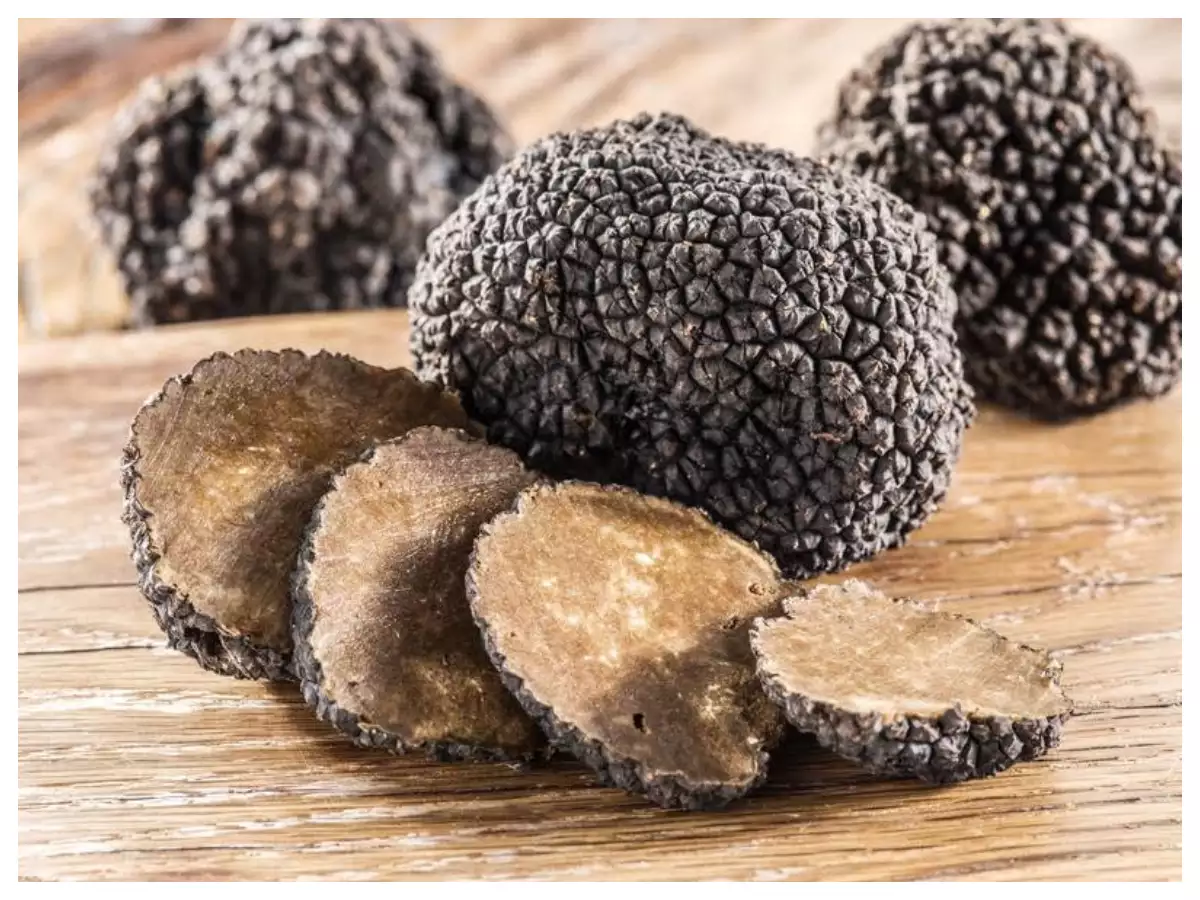 What are Truffle Mushrooms and everything you should know about them ...