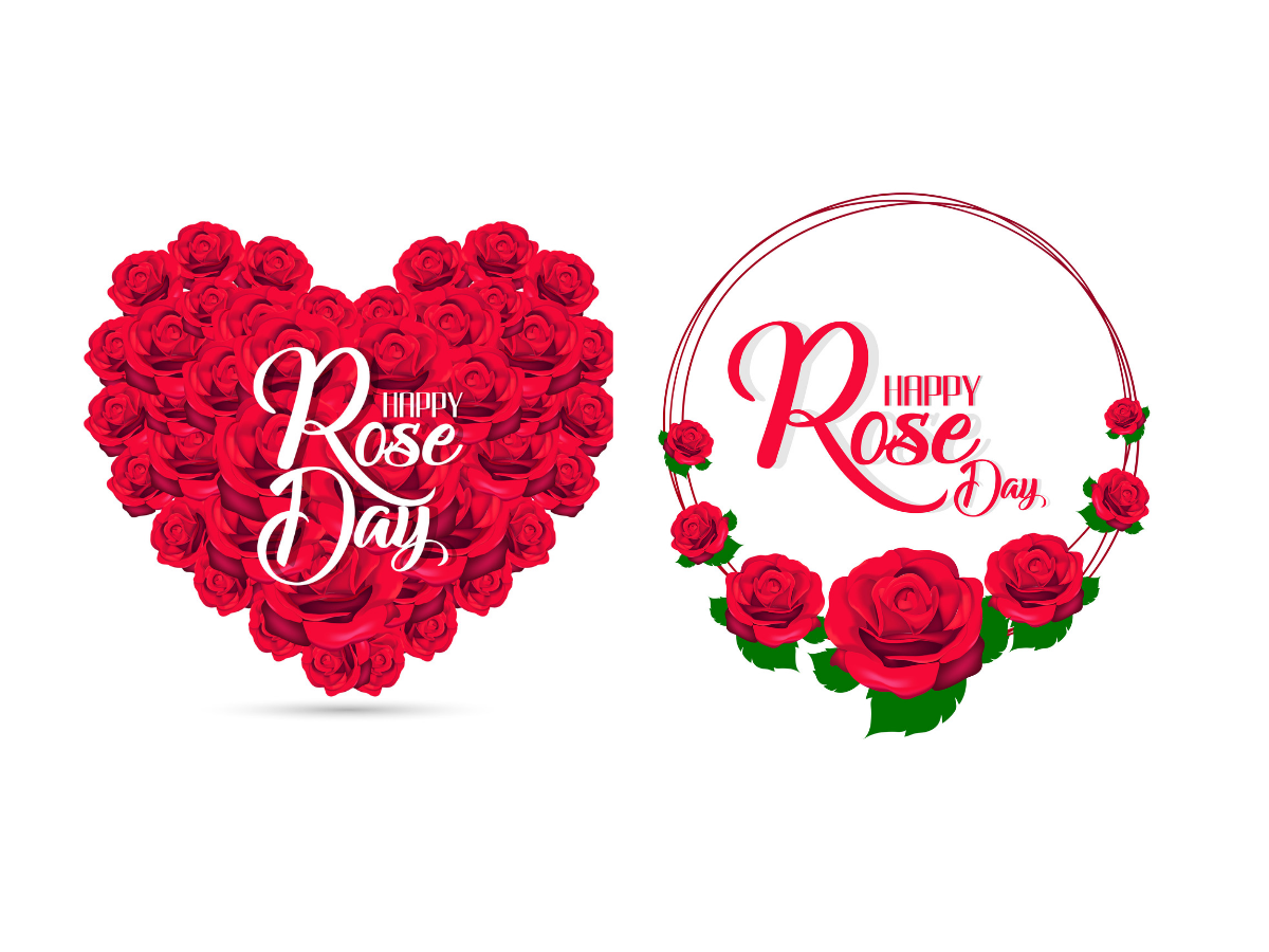 Rose day. Роза Happy Days.