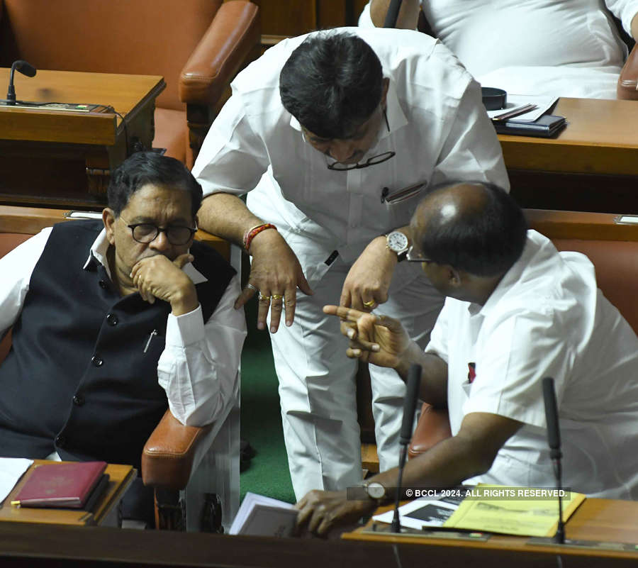 Karnataka: 10 Congress MLAs skip joint session