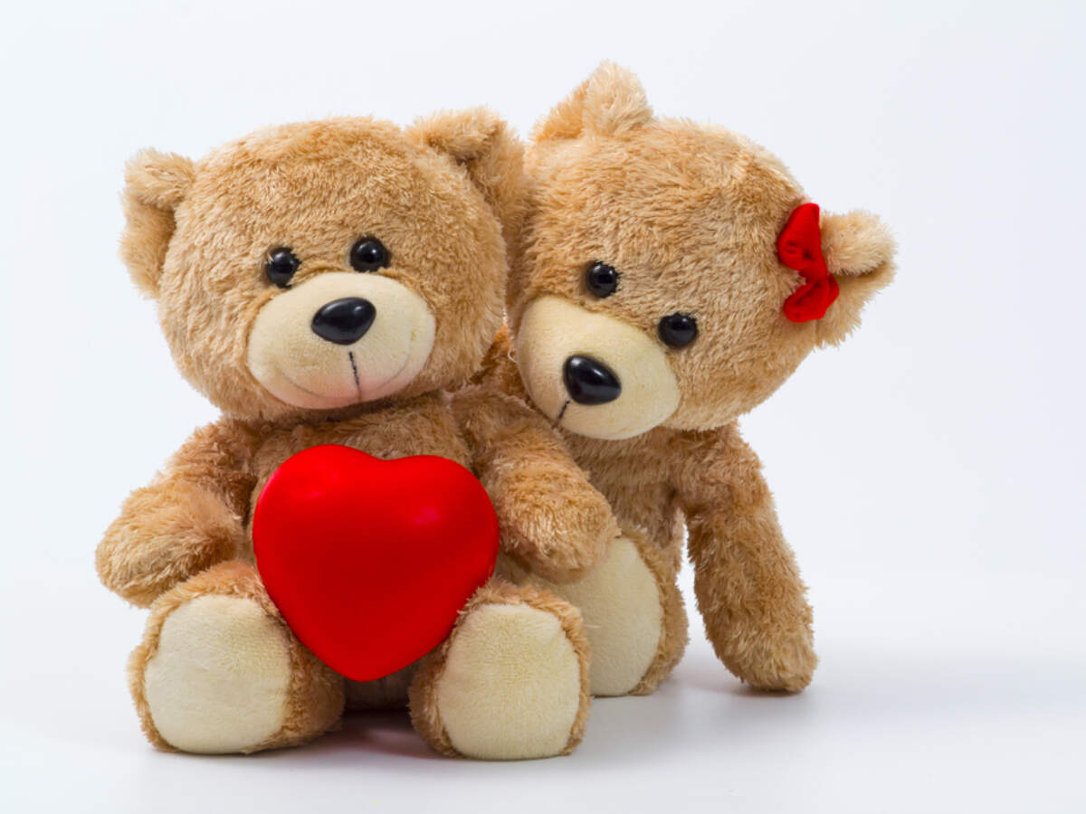 teddy day in valentine week