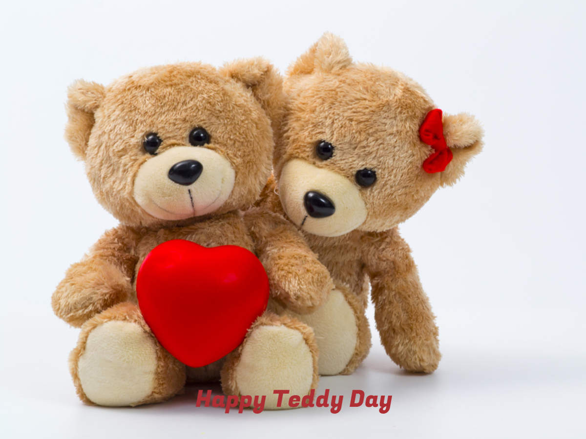 happy teddy day for husband