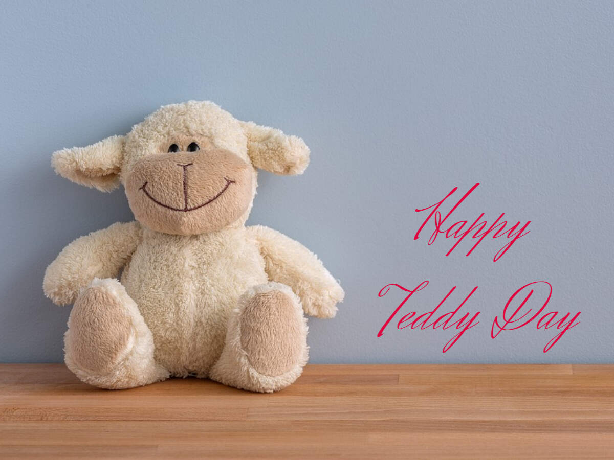 teddy bear day 2019