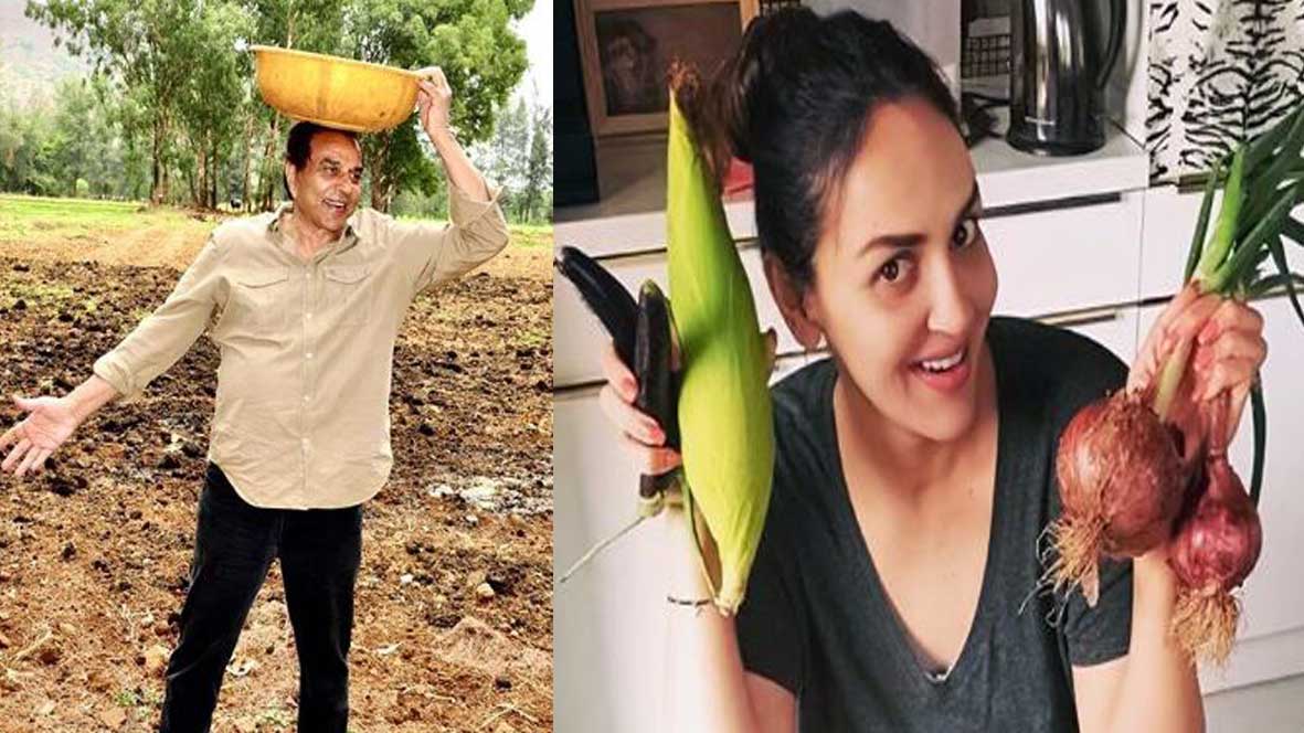   Dharmendra sends hand-picked vegetables to his pregnant daughter, Esha Deol 