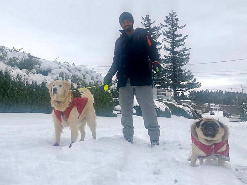 Pic: Gippy Grewal enjoys the snow with his canine pals