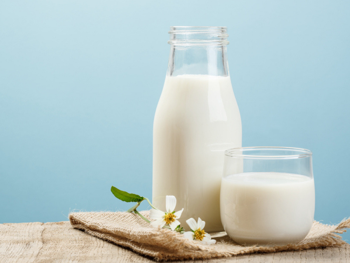 Milk For Weight Loss Do You Know Milk Can Help You Lose Weight The Times Of India