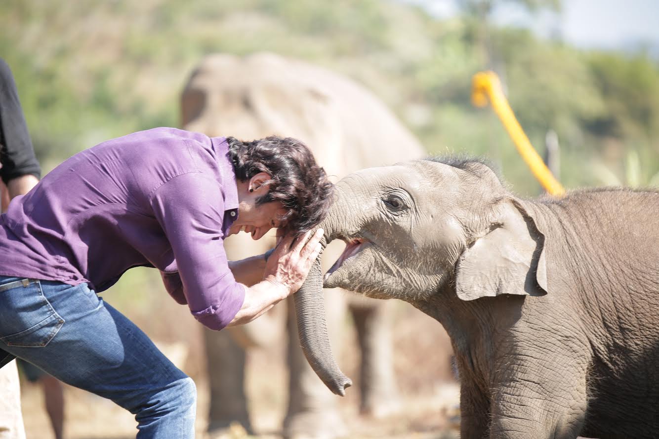   1 (1) "title =" 1 (1) "/> </div>
<p>  The time had come for this baby elephant who otherwise had never been exposed to human touch before.
</p>
<p>  The actors were training every day with mahauts to be able to communicate with elephants. They were told that Moonbeam was too young to speak, so Vidyut always had the habit of interacting with her mother.<br />
</p>
<p>  Slowly, Moonbeam started responding to Vidyut and, during one of the shootings, he caught a ball and started playing with him, waiting for that he would pbad and move with him to chase her away. There was no stop there.</p>
<div data-type=