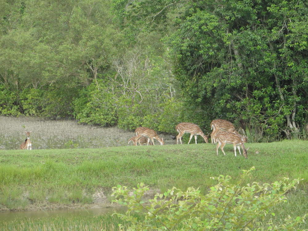 5 popular biosphere reserves in India that deserve a visit | Times of ...