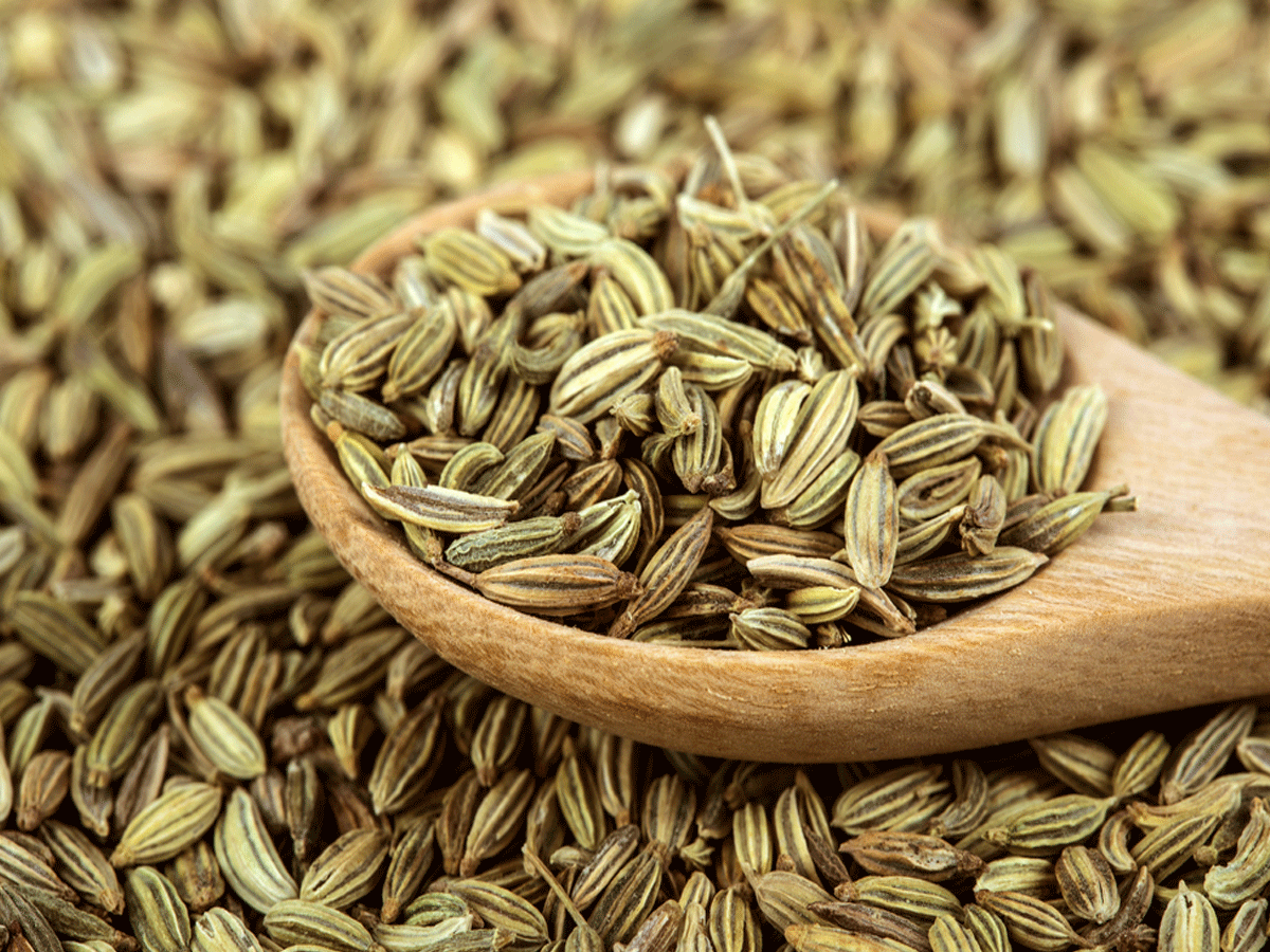 Fennel Seed