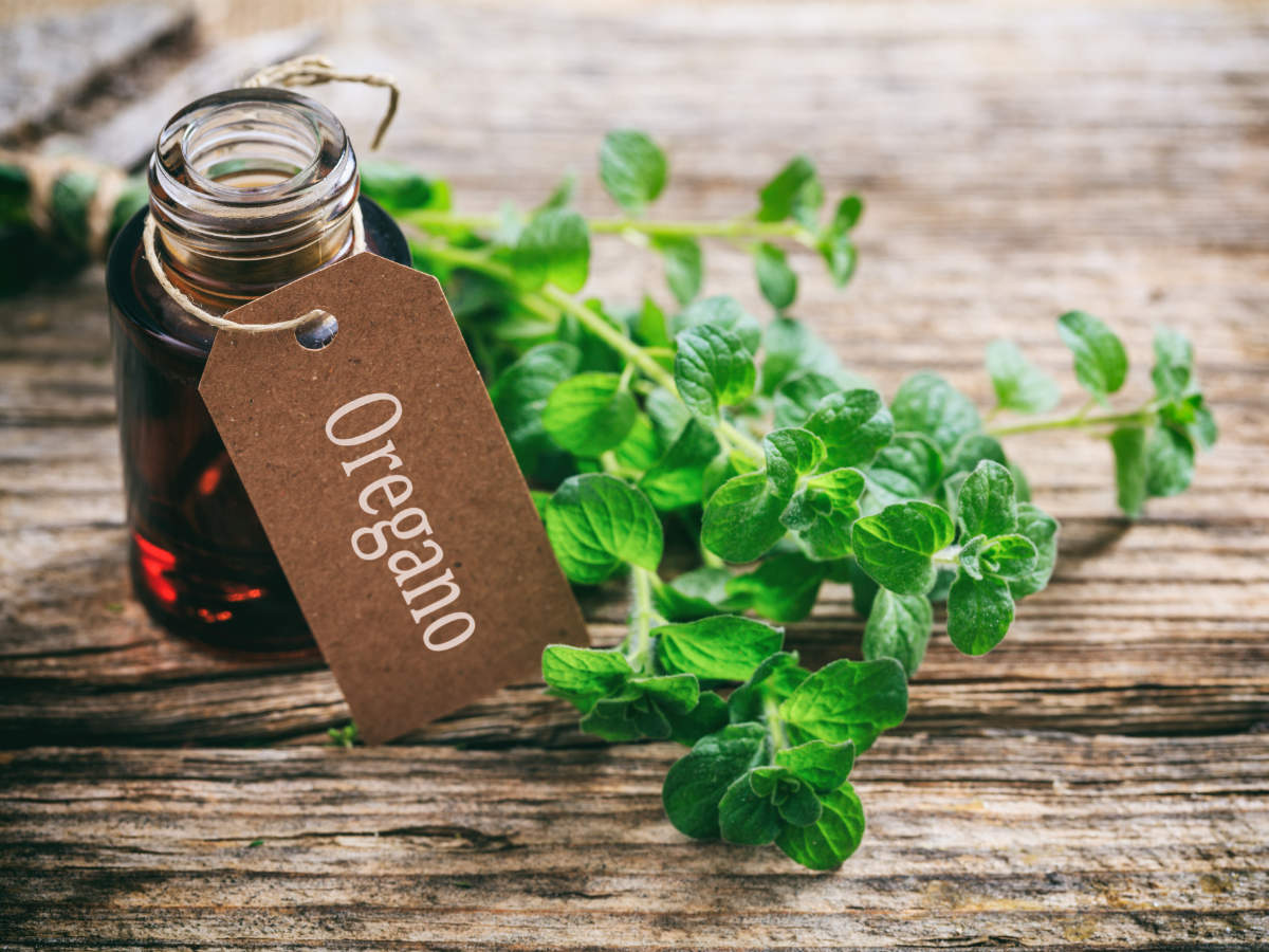 Here's all you need to know about Oregano Oil and its amazing health  benefits