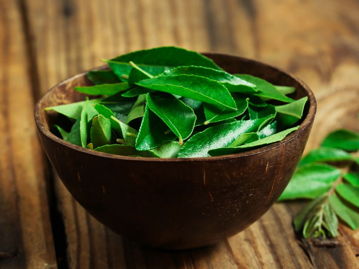 Curry Leaves.