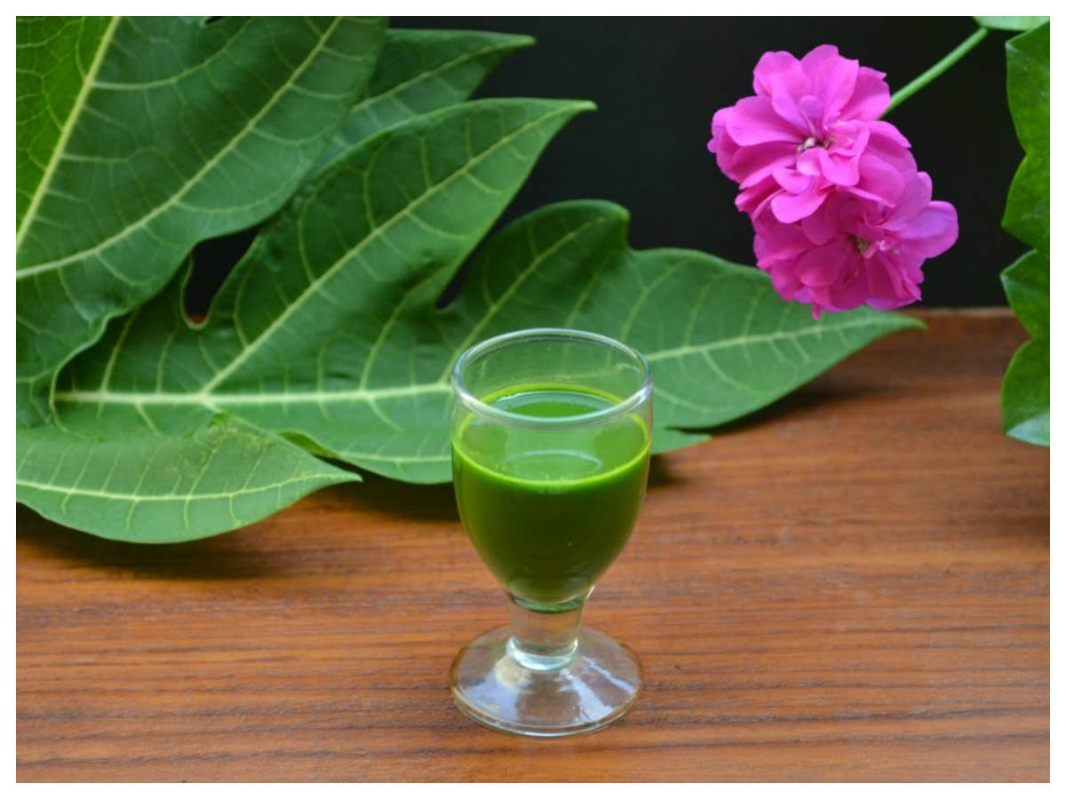 papaya leaf juice has magical health benefits: read this!