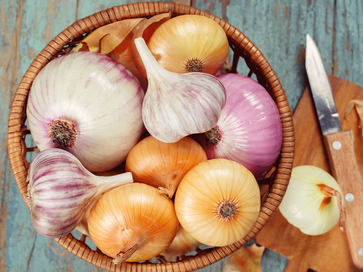 Tormarket onion