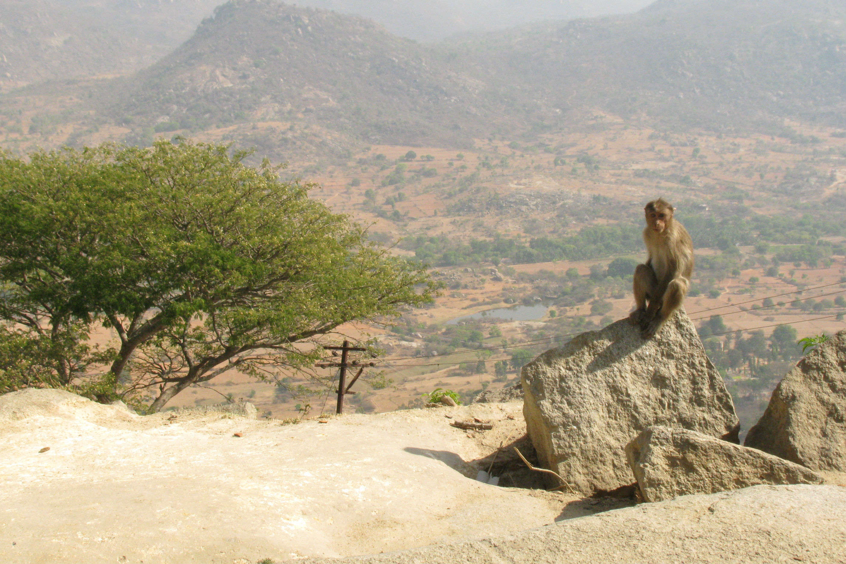 Siddara Betta – trekking to the hill of saints near Bangalore