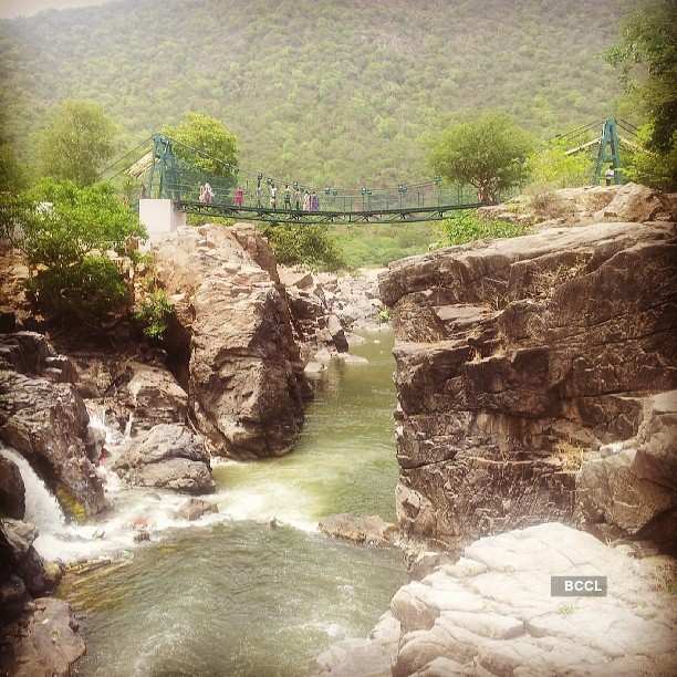 30 stunning pictures that will make you want to visit spectacular Hogenakkal Falls