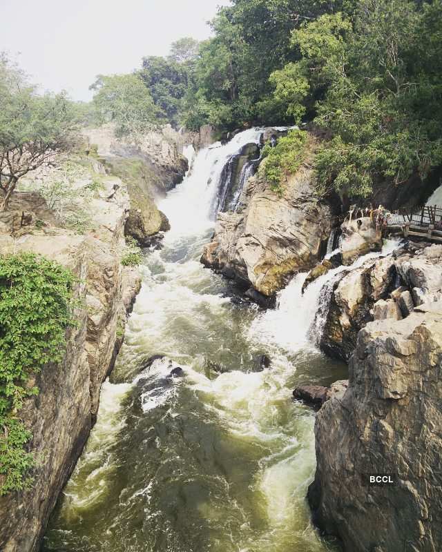 30 stunning pictures that will make you want to visit spectacular Hogenakkal Falls