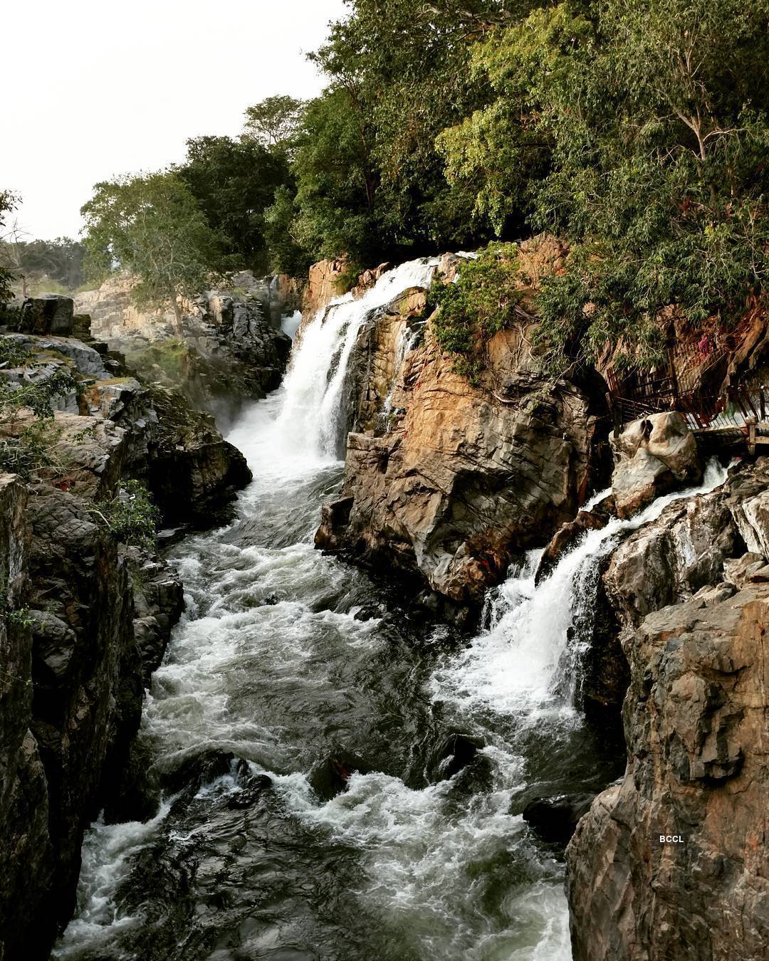 30 stunning pictures that will make you want to visit spectacular Hogenakkal Falls