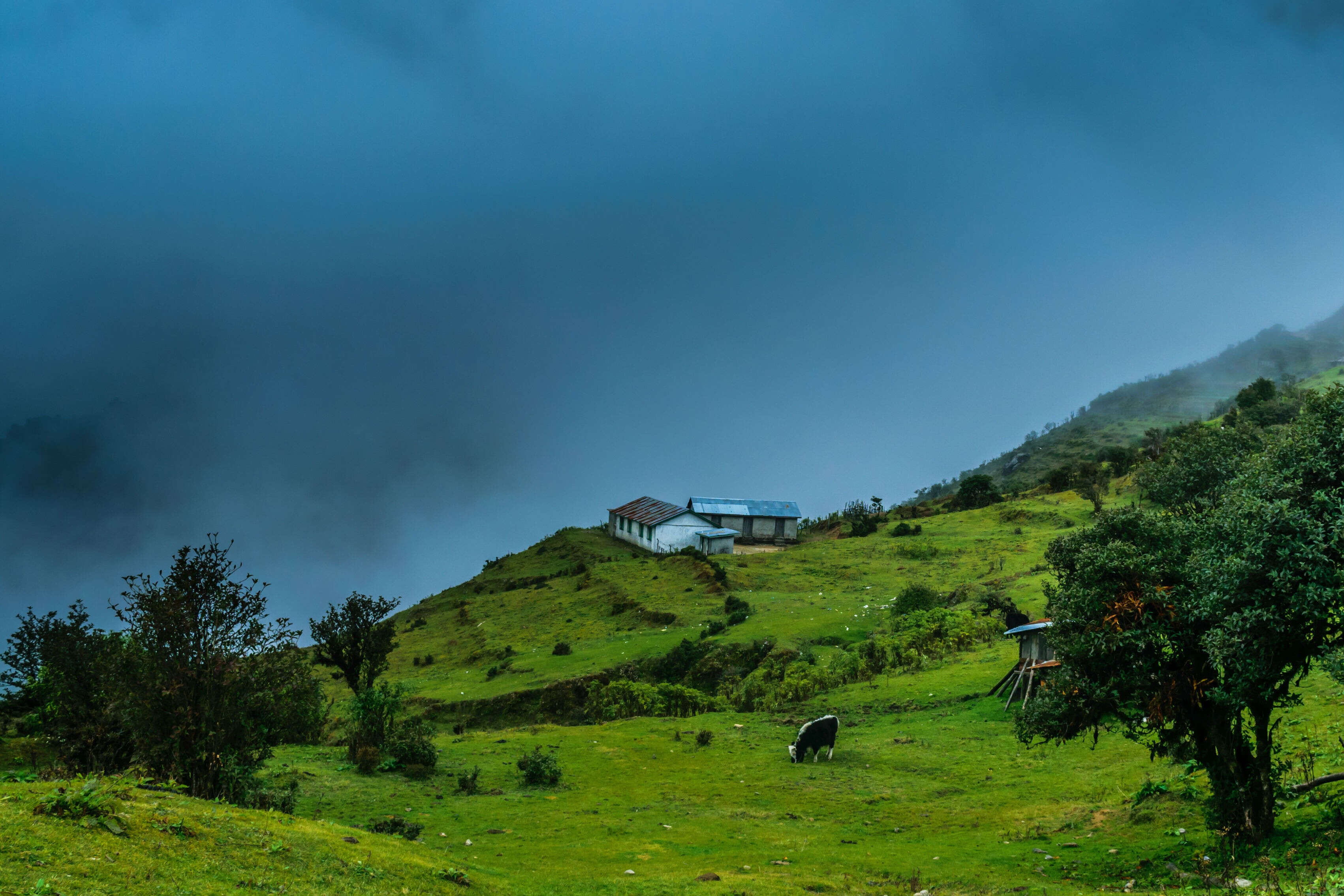 Picture of North Bengal