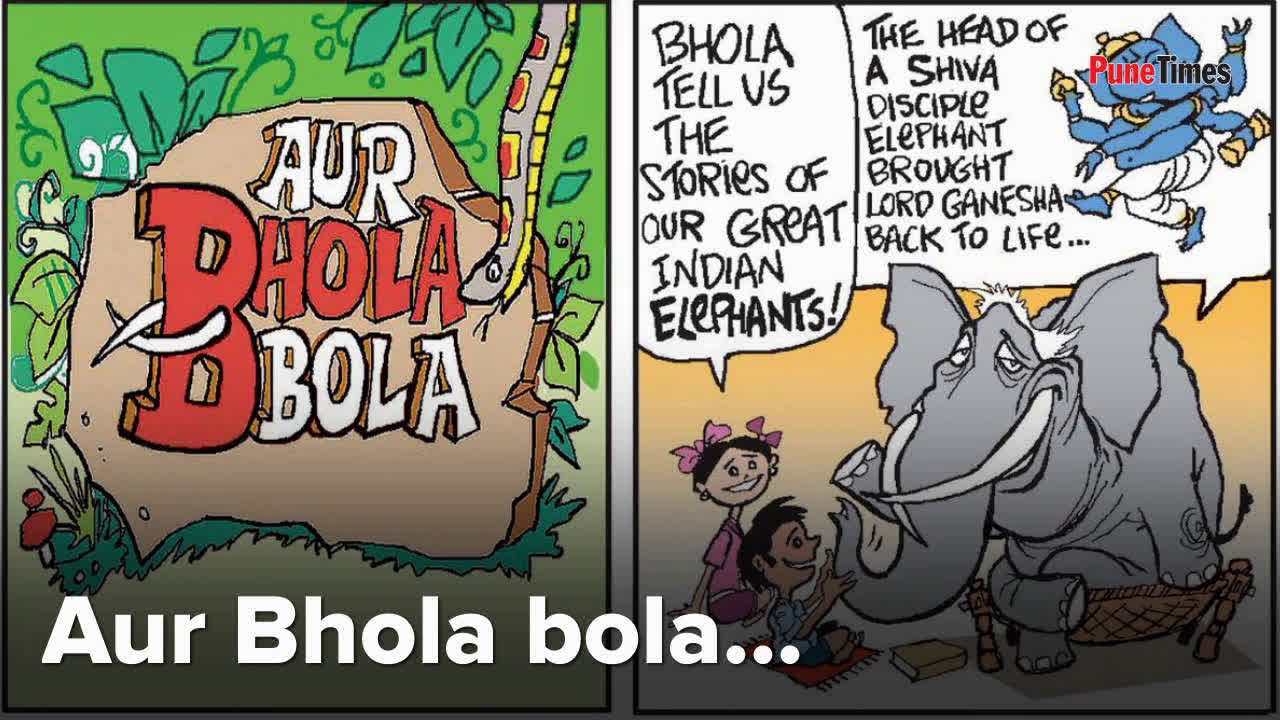 Junglee: Bhola, the elephant, has interesting stories to tell | Hindi Movie News - Bollywood - Times of India Junglee: Bhola, the elephant, has interesting stories to tell | Hindi Movie News - Bollywood - Times of India