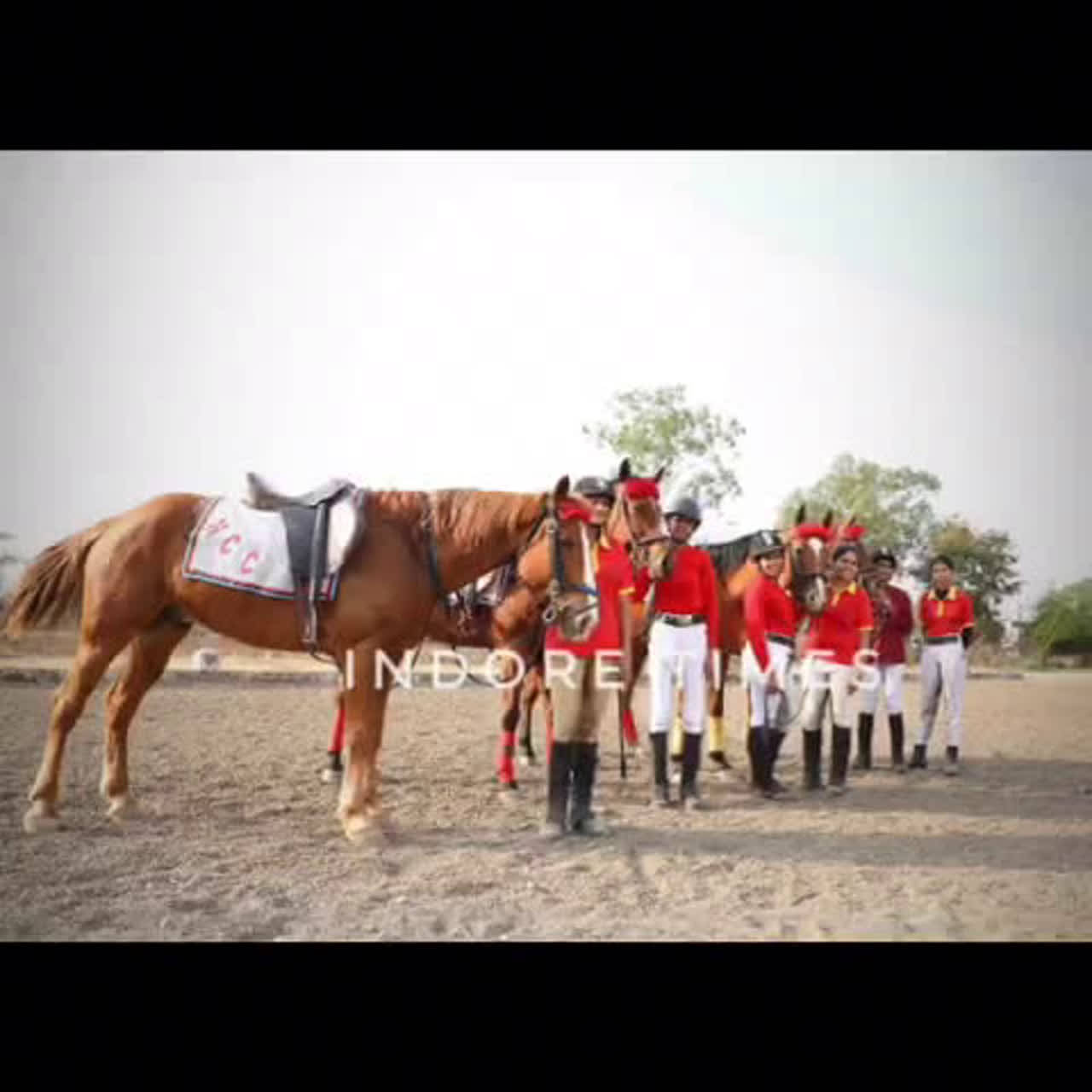 NCC: Female horseriders take the reins in MP