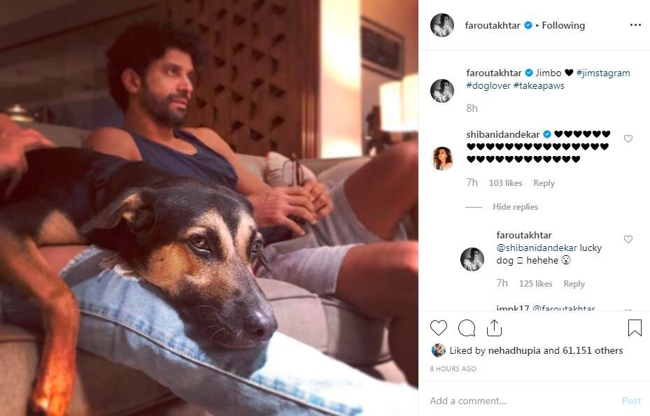   Farhan Shibani "title =" Farhan Shibani "/> </div>
<p>  Well, according to Farhan's commentary, it is clear that his dog sleeps on Shibani's lap and that the actor is very jealous of him.</p>
<p>  Meanwhile, Farhan will soon be seen in the movie "The sky is pink" by Shonali Bose, with Priyanka Chopra and Zaira Wasim. The film is scheduled to be released on October 11, 2019.<br />

</div>
</pre>
</pre>
[ad_2]
<br /><a href=