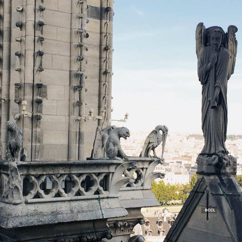 Pictures of Notre-Dame Cathedral treasures that make it so special