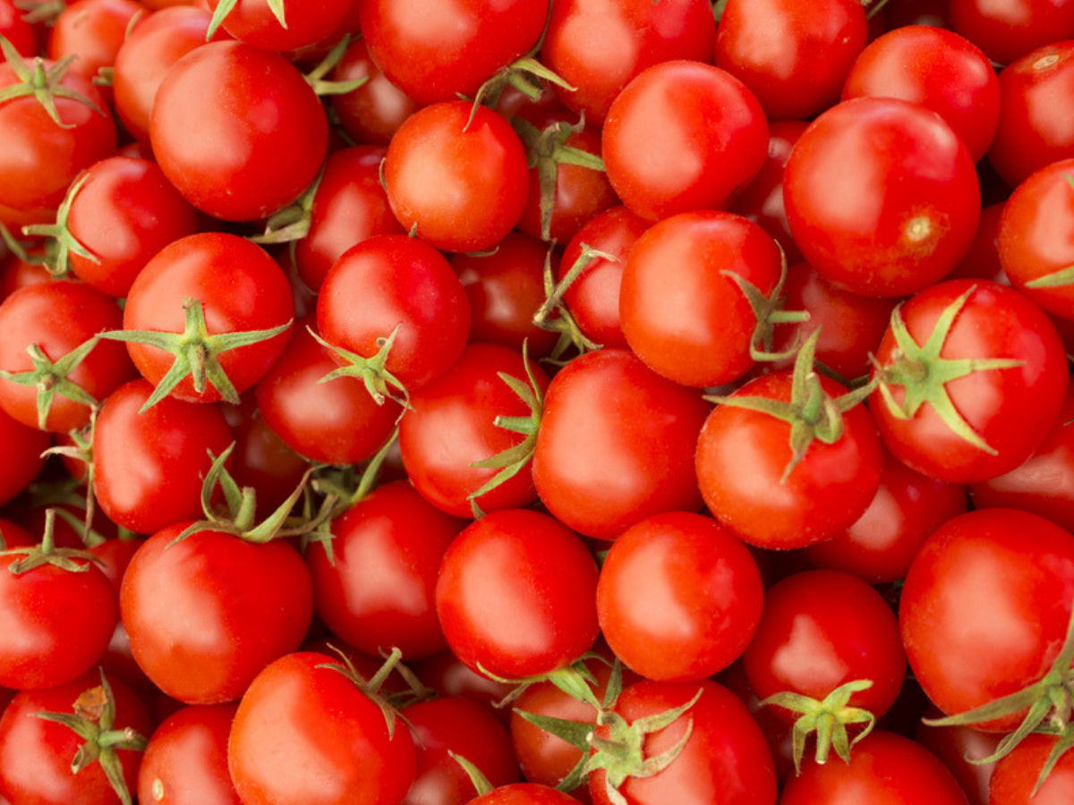 What are the benefits of eating tomatoes daily? - Times of India