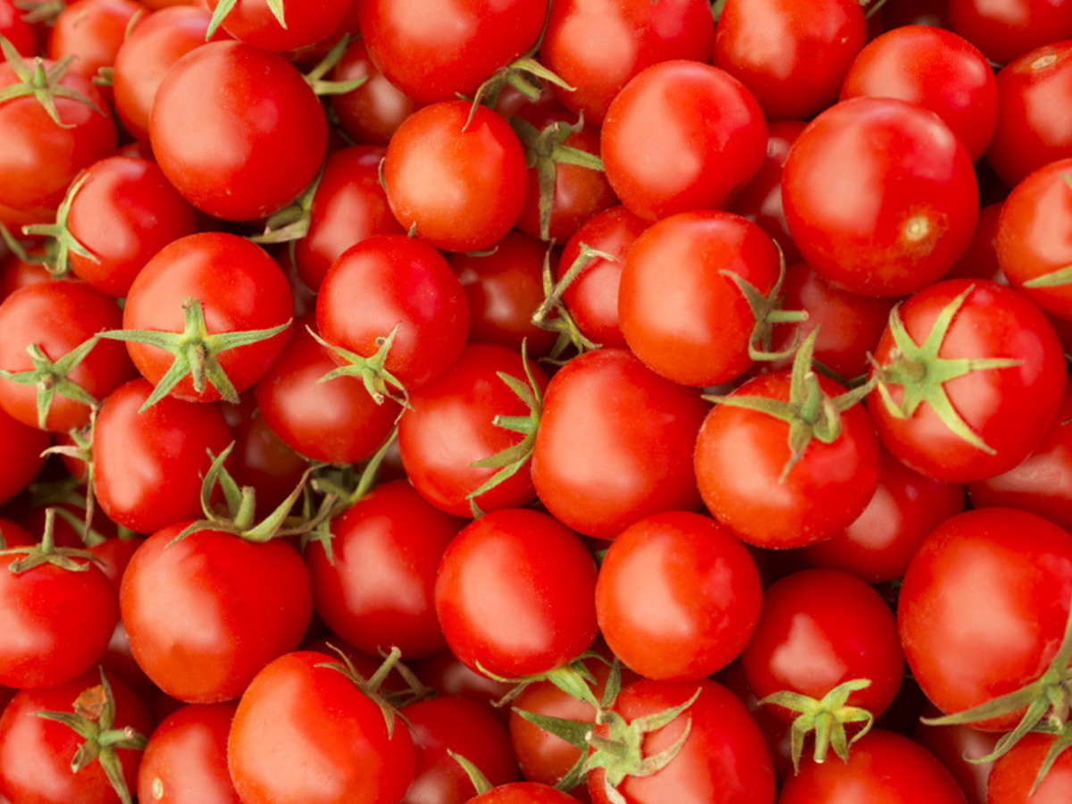 What Are The Benefits Of Eating Tomatoes Daily Times Of India