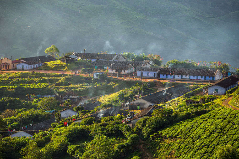Get Enchanted In Munnar Thekkady Kumarakom With Irctc S 6d 5n Package At Inr 28475 Times Of India Travel