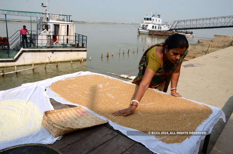 India hikes wheat import duty to support local farmers